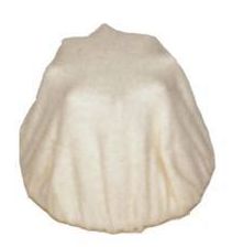 Bissell Vacuum Filters for Bissell Model 3020 Vacuum 3 Pack 010-3292