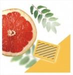 AirTamer Aroma Cartridges Energizing Grapefruit 2 Pack ACG-100